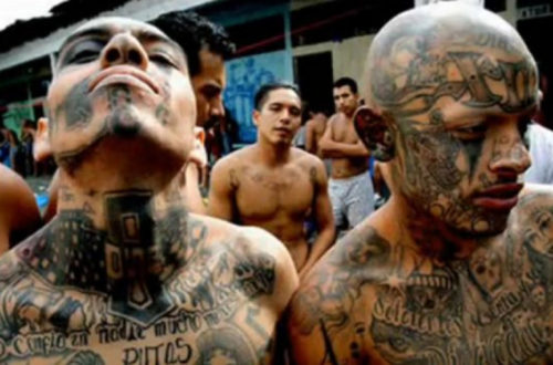 el-retrato-de-la-mara-salvatrucha-ms-13